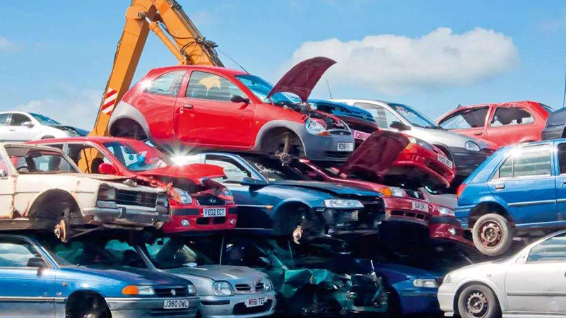 1735439982366962.jpeg cf7f0f438da7440c82a32a8bd271d7a5.jpeg